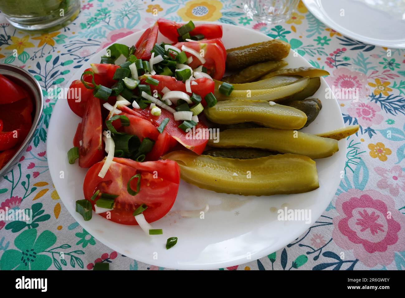 Gurken und Tomaten mit Schnittlauch und Zwiebeln auf einem weißen Teller. Gesunde Ernährung. Stockfoto