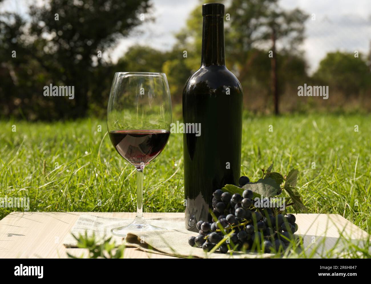 Rotwein und köstliche Trauben werden auf grünem Gras im Park serviert Stockfoto