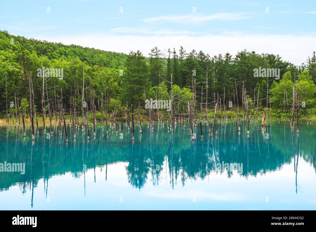Landschaft des Biei Blue Pond in Hokkaido, Japan Stockfoto