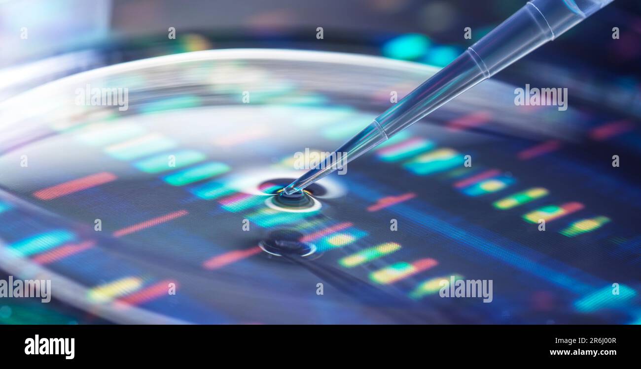 Genomforschung, Konzeptbild Stockfoto