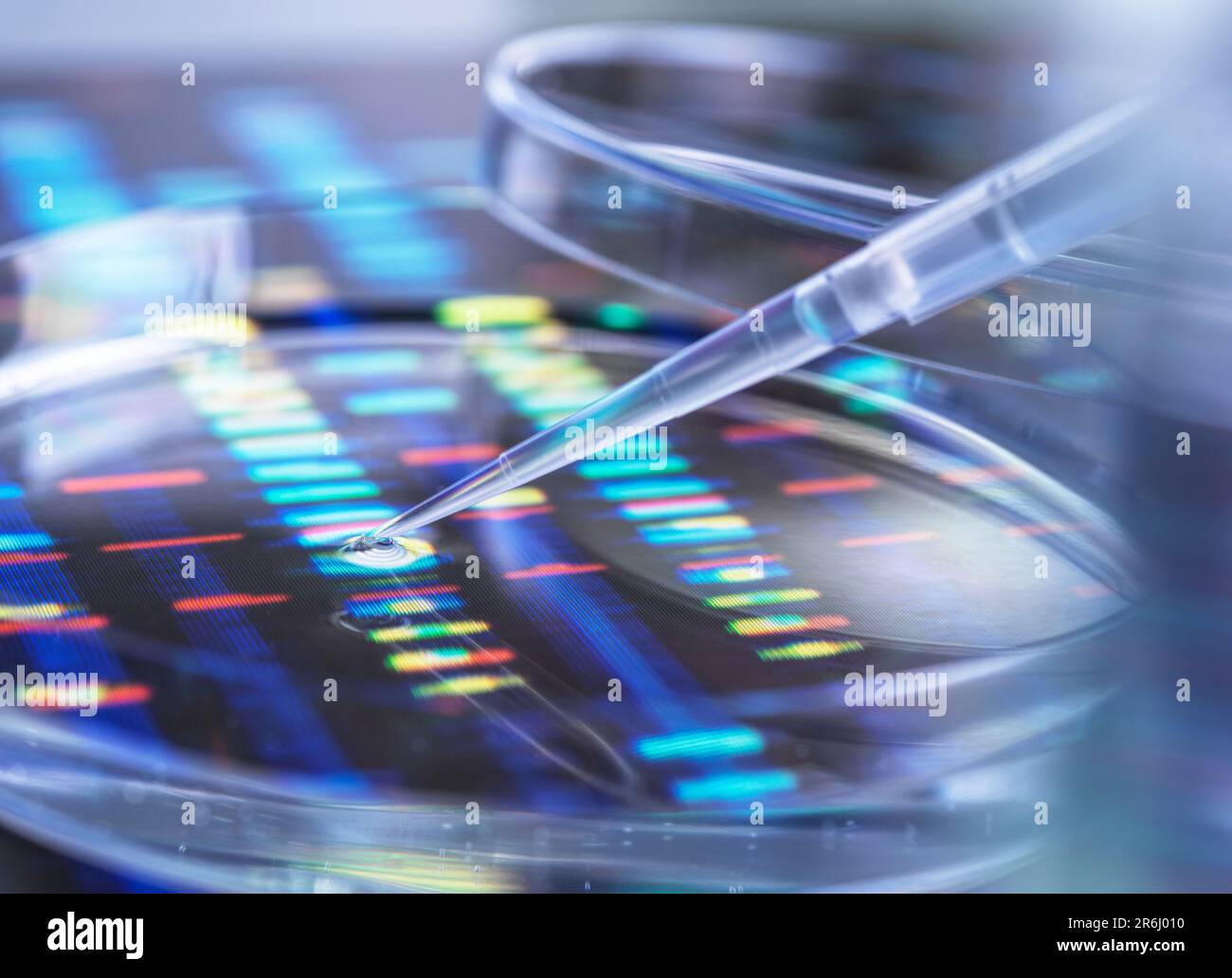Genomforschung, Konzeptbild Stockfoto