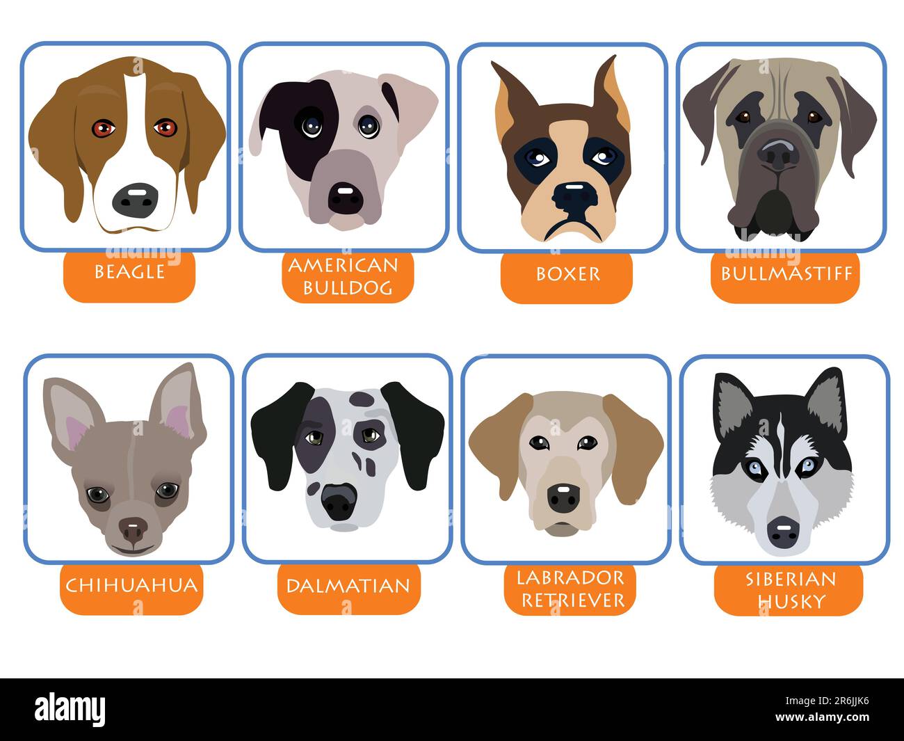 Darstellung reinrassiger Hunde, Cartoon-Hundeporträts Stock Vektor