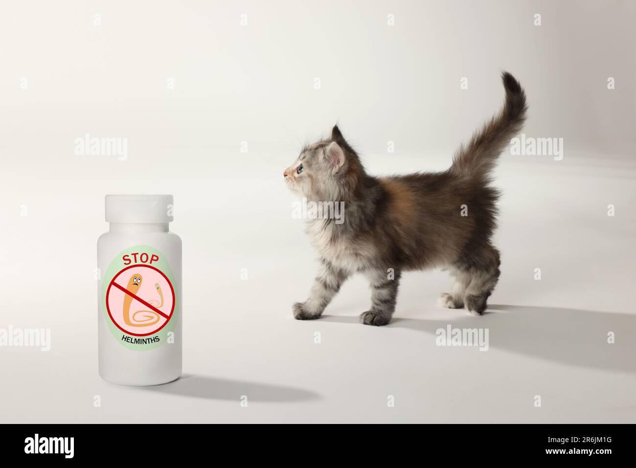 Entwurmung. Flauschiges Kätzchen und Medizinflasche mit Anthelminthika auf weißem Hintergrund Stockfoto