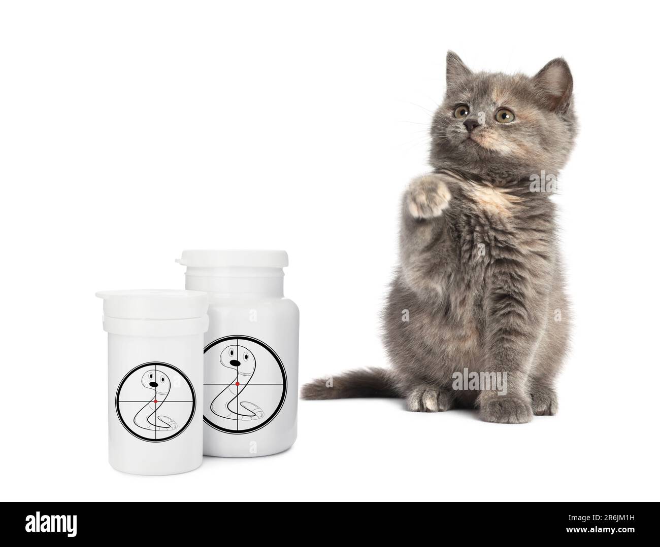 Entwurmung. Süßes flauschiges Kätzchen und medizinische Flaschen mit Anthelminthika auf weißem Hintergrund Stockfoto