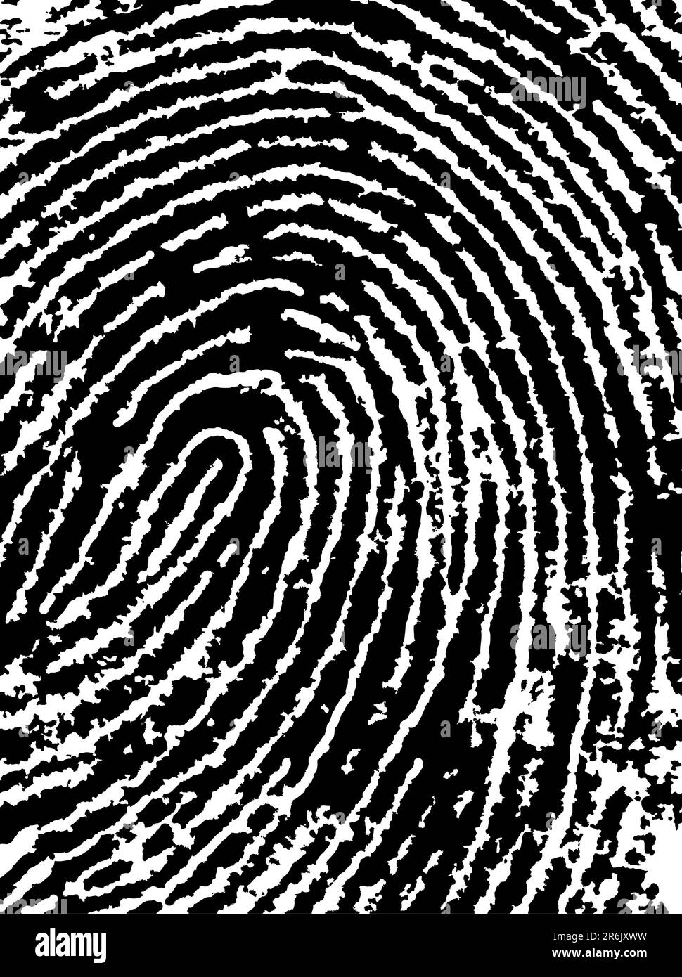 Schwarzweiß-Vektor-Fingerabdruck zuschneiden - sehr präzise gescannt und nachverfolgt (Vektor ist transparent, sodass er auf anderen Bildern, Vektoren usw. überlagert werden kann) Stock Vektor