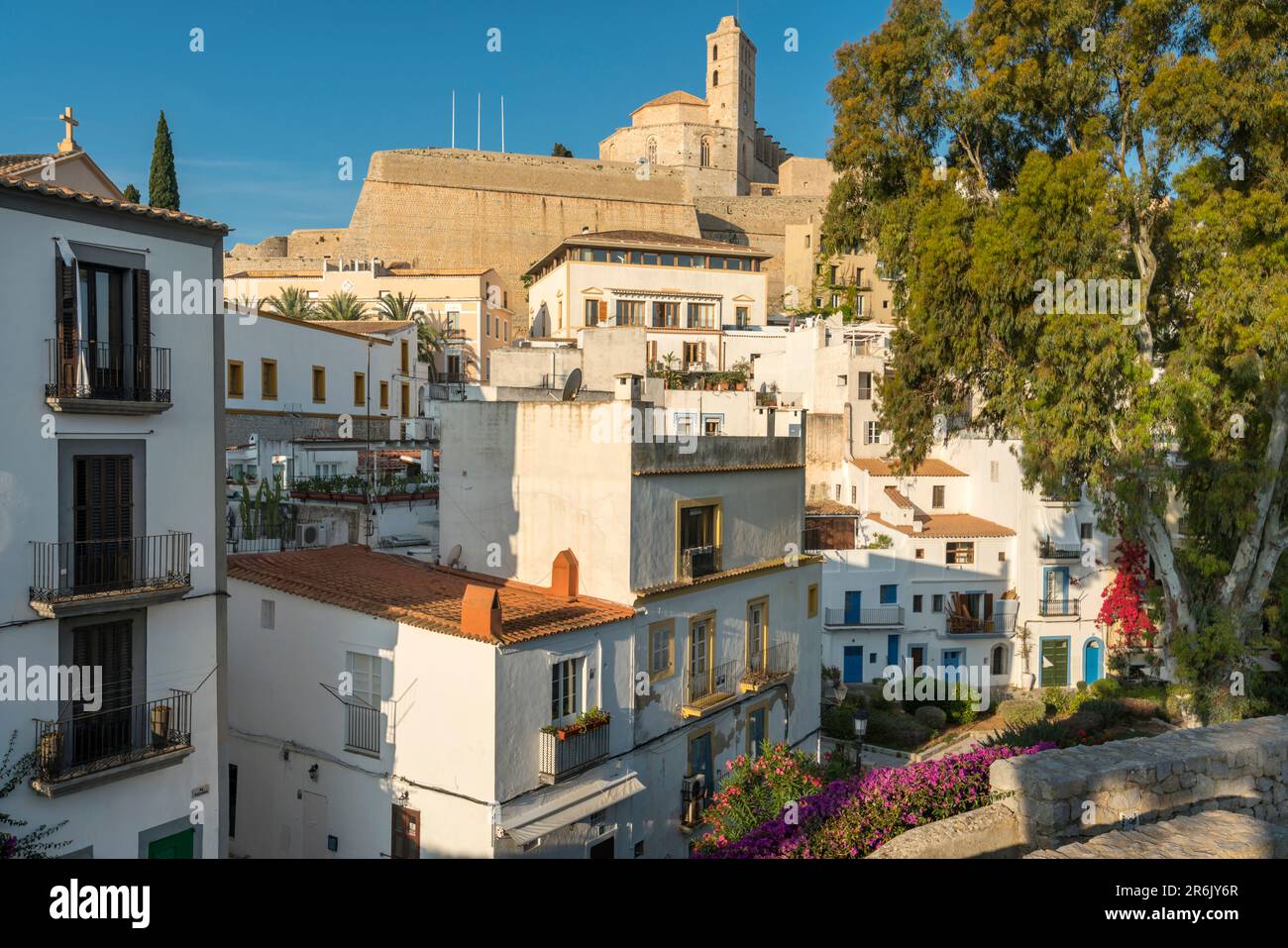 BEHERBERGT DIE ALTSTADT IBIZA BALEAREN SPANIEN Stockfoto