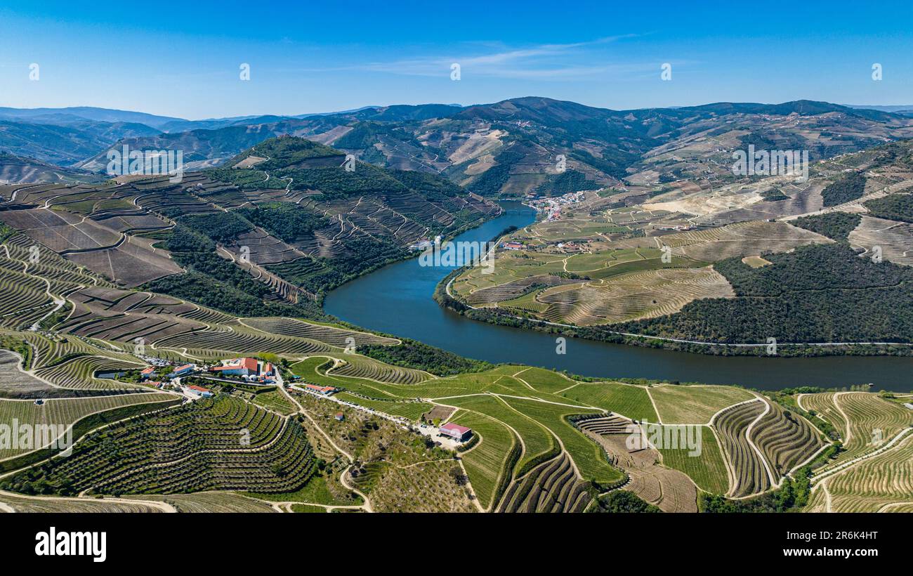 Aerial of the Wine Region of the Douro River, UNESCO-Weltkulturerbe, Portugal, Europa Stockfoto