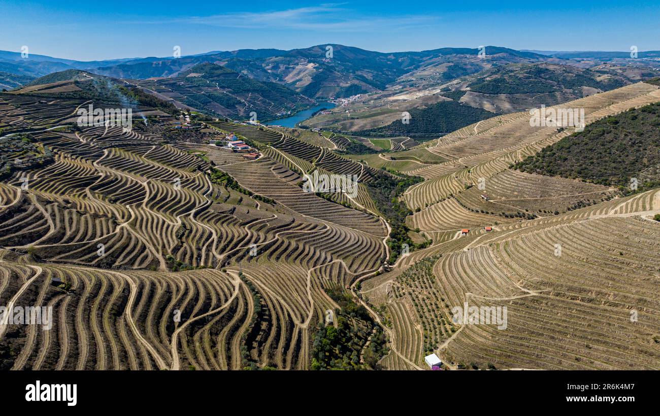 Aerial of the Wine Region of the Douro River, UNESCO-Weltkulturerbe, Portugal, Europa Stockfoto