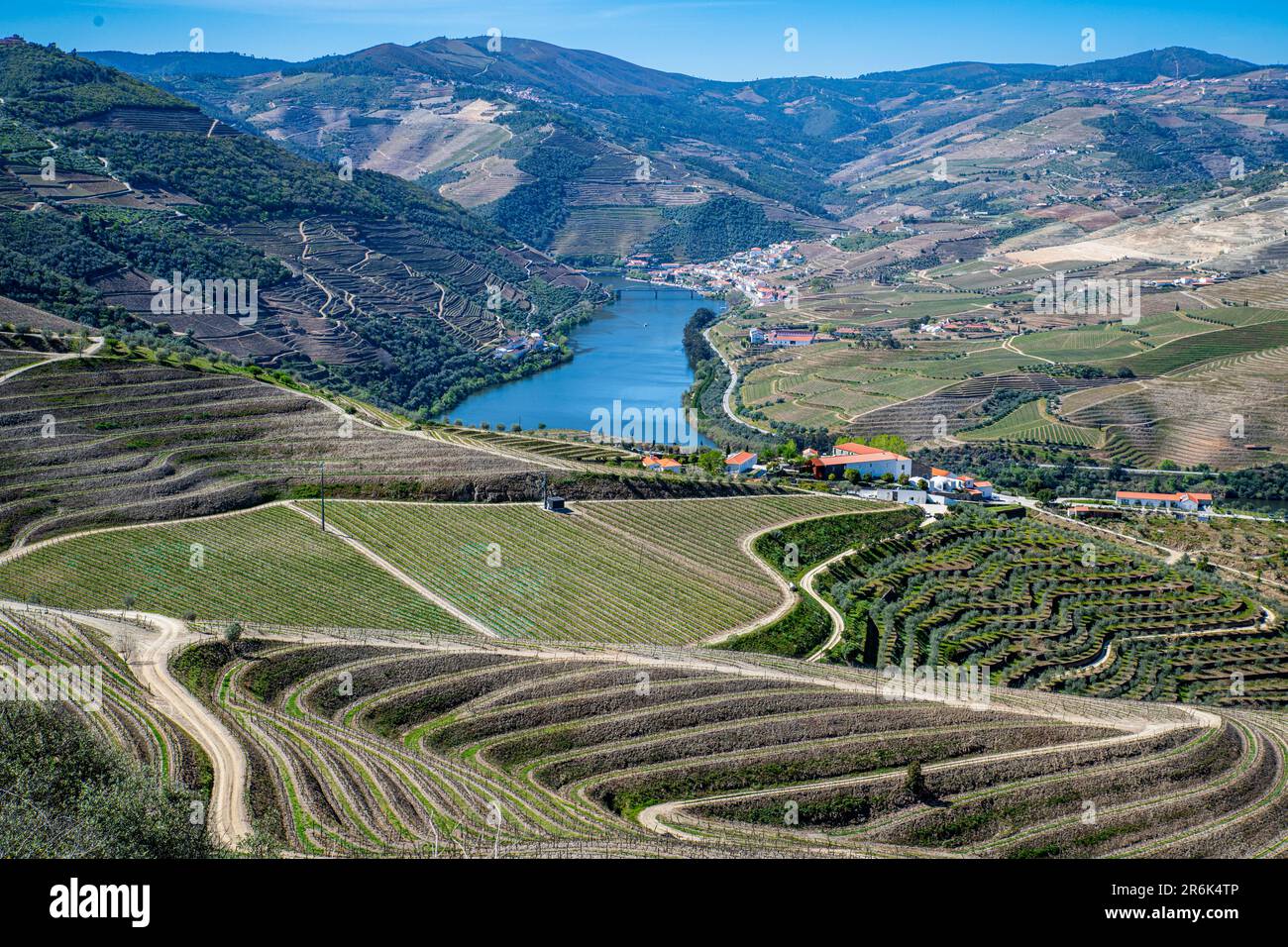 Blick über die Weinregion des Douro, UNESCO-Weltkulturerbe, Portugal, Europa Stockfoto