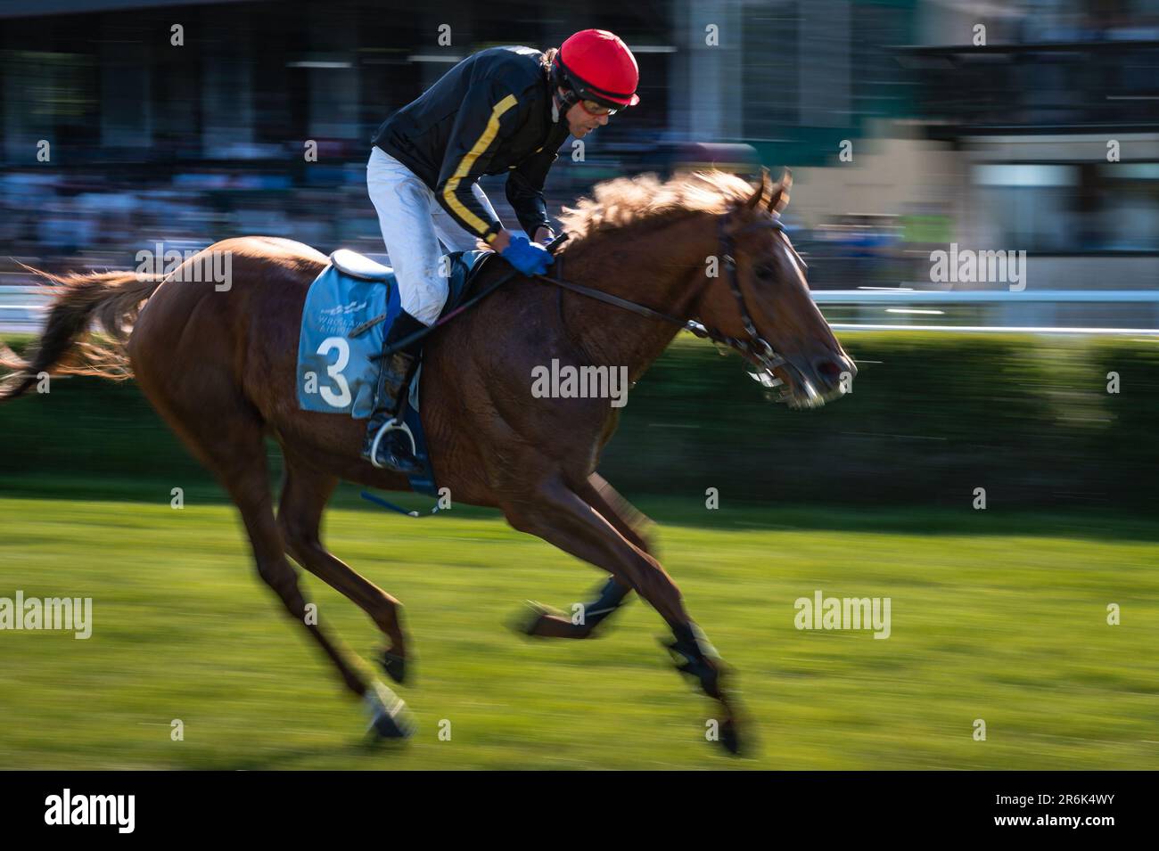 BRESLAU, POLEN - 4. JUNI; 2023: Rennbahn WTWK Partynice. Internationales Rennen mit Hindernissen für vier Jahre alte Pferde. Jockey Pavel Peprna auf dem Pferd Stockfoto