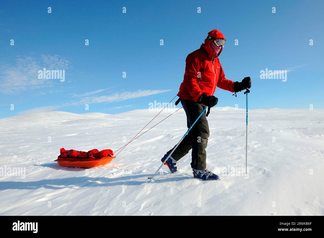 Winterwanderer zieht Schlitten, Bank, Arktis, Island, Kanada Stockfoto