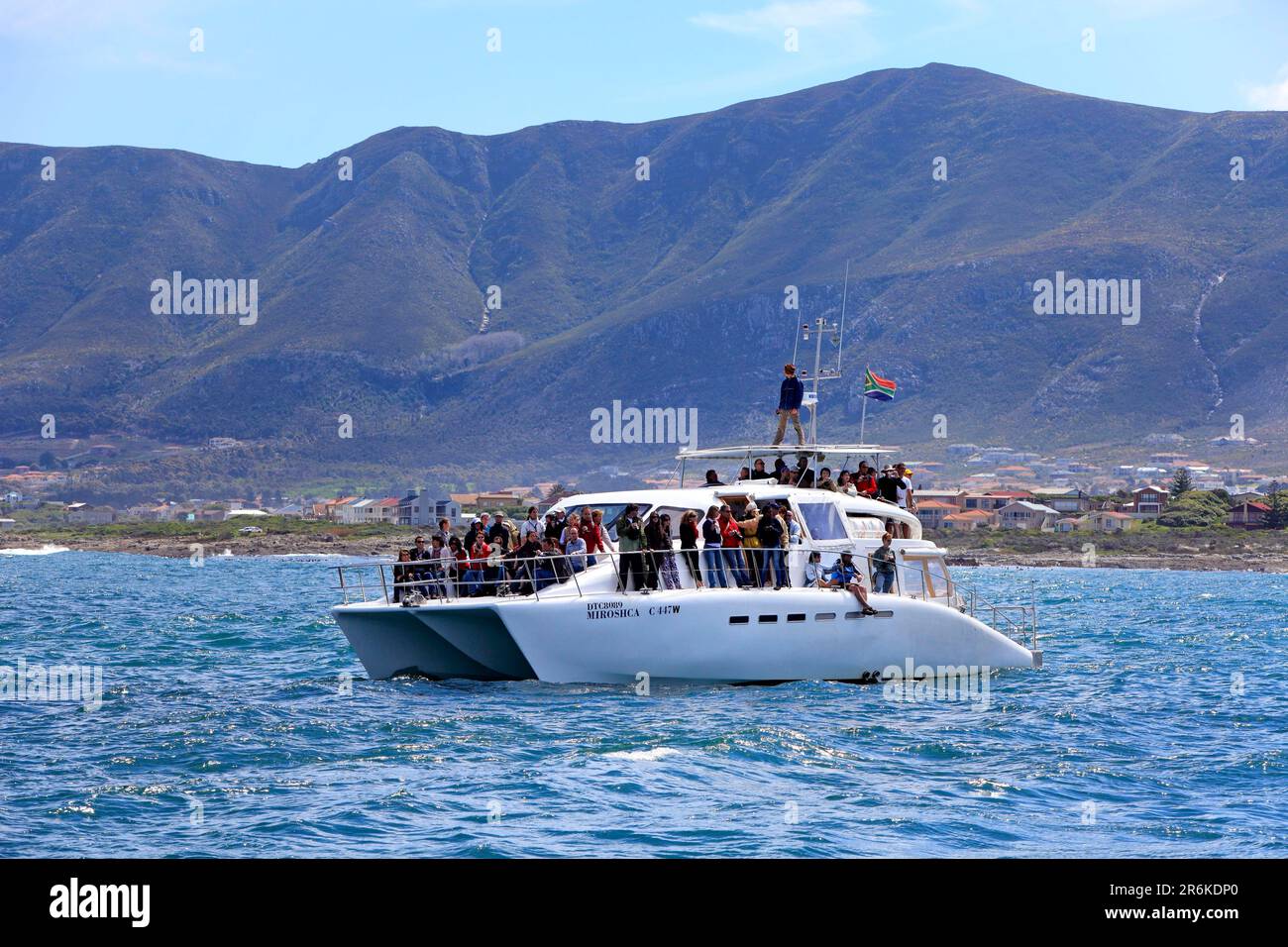 Walbeobachtung, Simon's Town, Südafrika Stockfoto