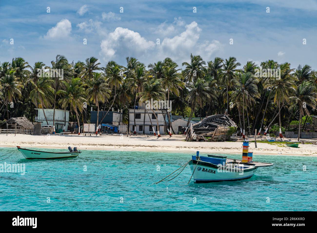 Kleine Boote vor einem palmengesäumten weißen Sandstrand, Agatti Island, Lakshadweep Inselgruppe, Unionsgebiet Indien, Indischer Ozean, Asien Stockfoto