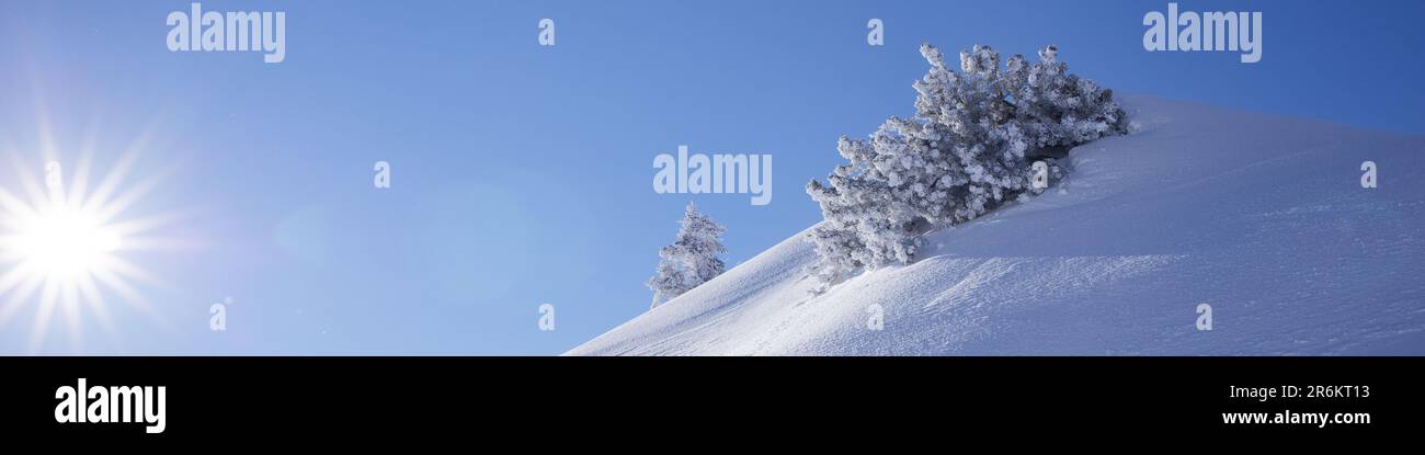 Universelles Linkedin-Banner mit sonniger alpiner Winterlandschaft für jeden Beruf Stockfoto