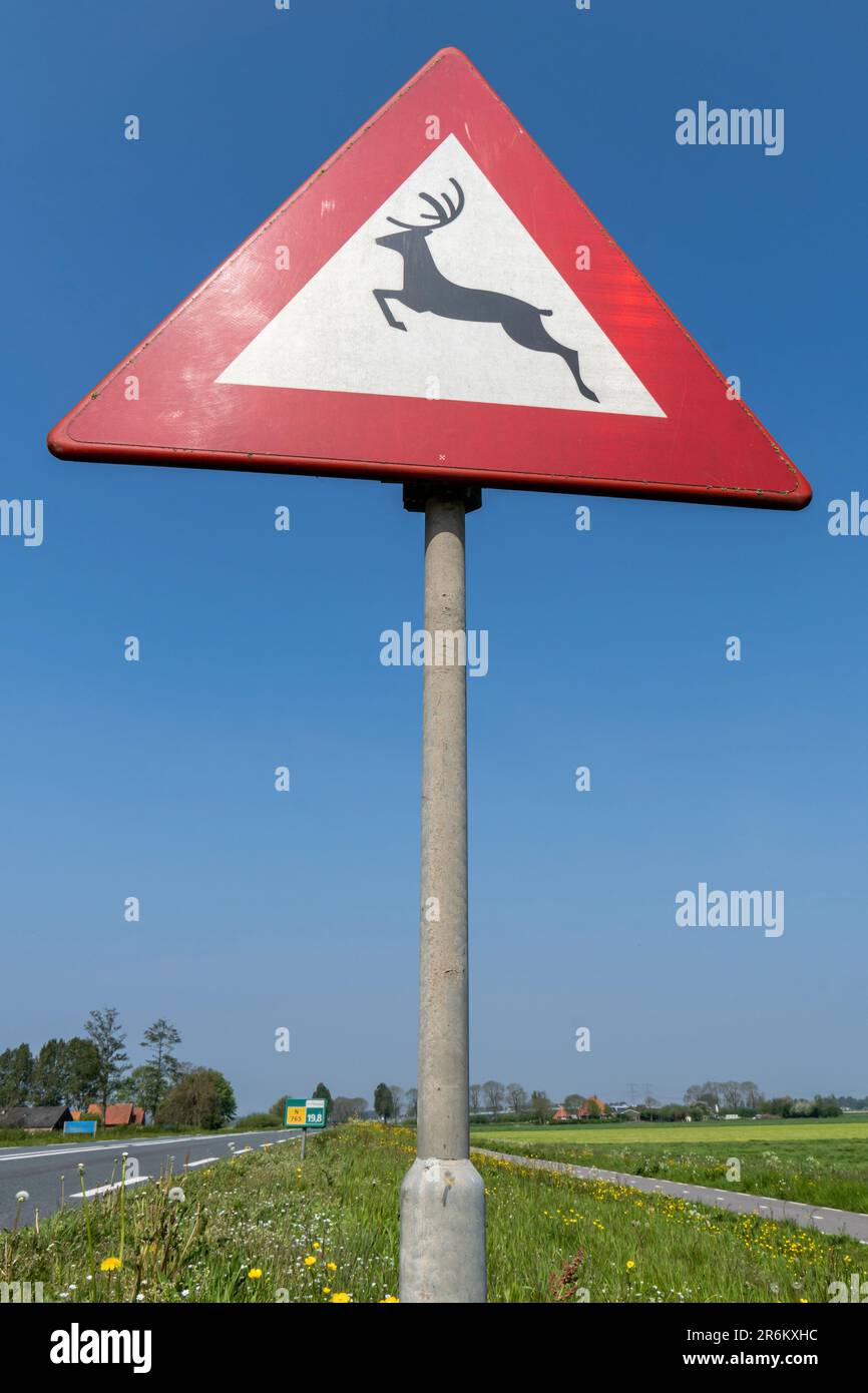 Holländisches Verkehrszeichen: Überquerung von Wildtieren Stockfoto