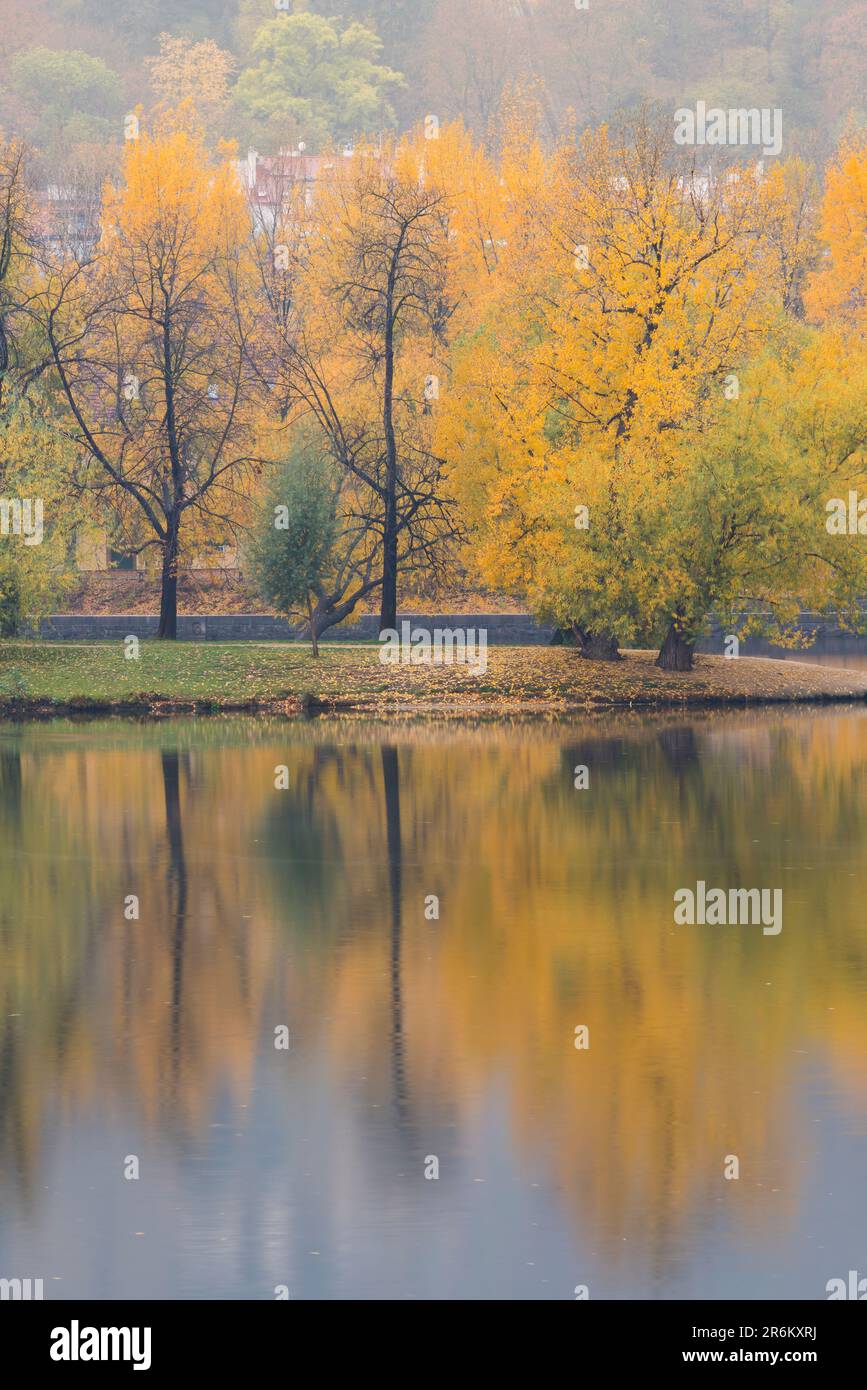 Reflexionen bunter Bäume auf der Shooters-Insel (Strelecky Ostrov) auf der Moldau im Herbst, Prag, Tschechische Republik (Tschechien), Europa Stockfoto
