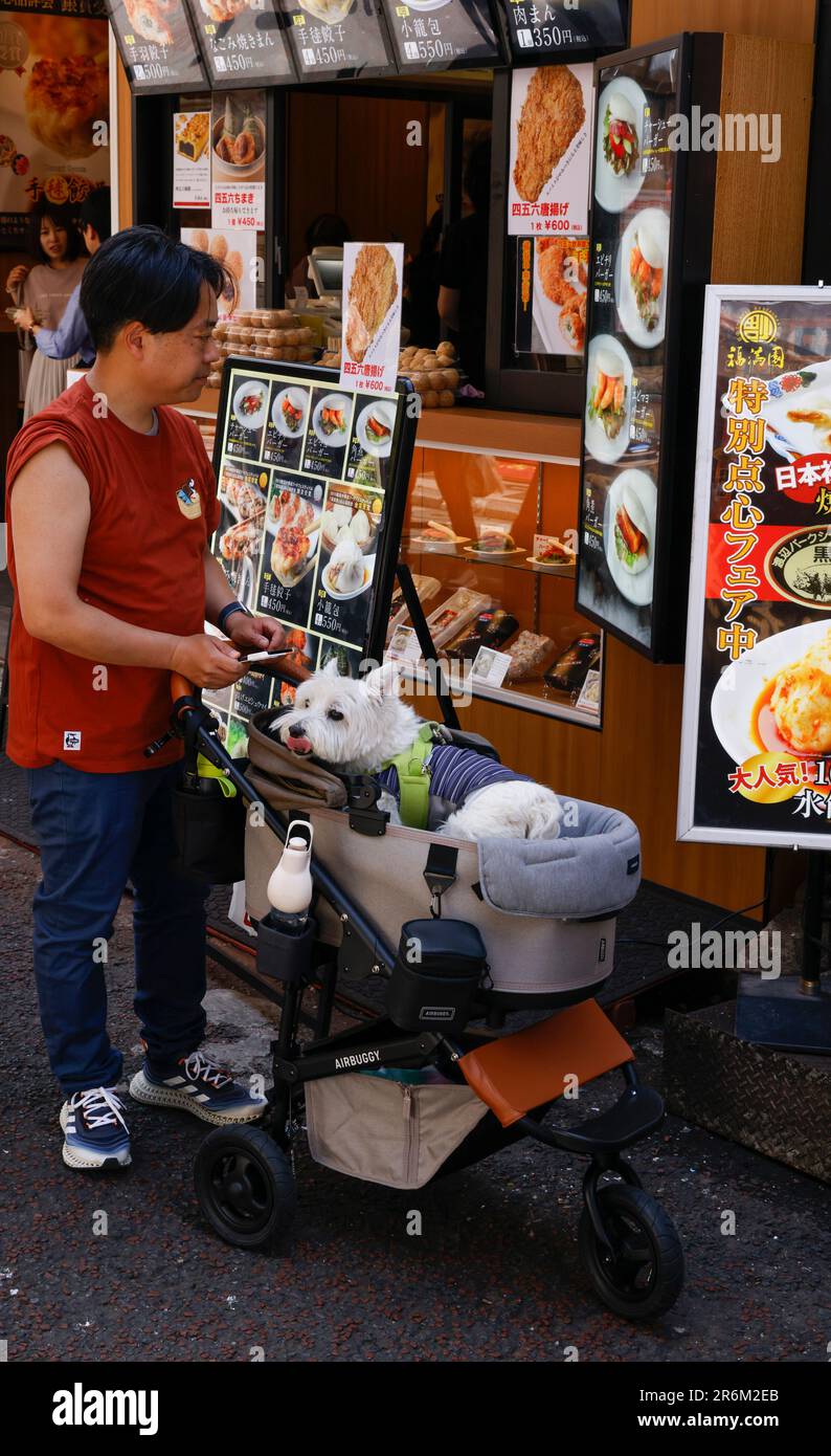 YOKOHAMA JAPAN Stockfoto