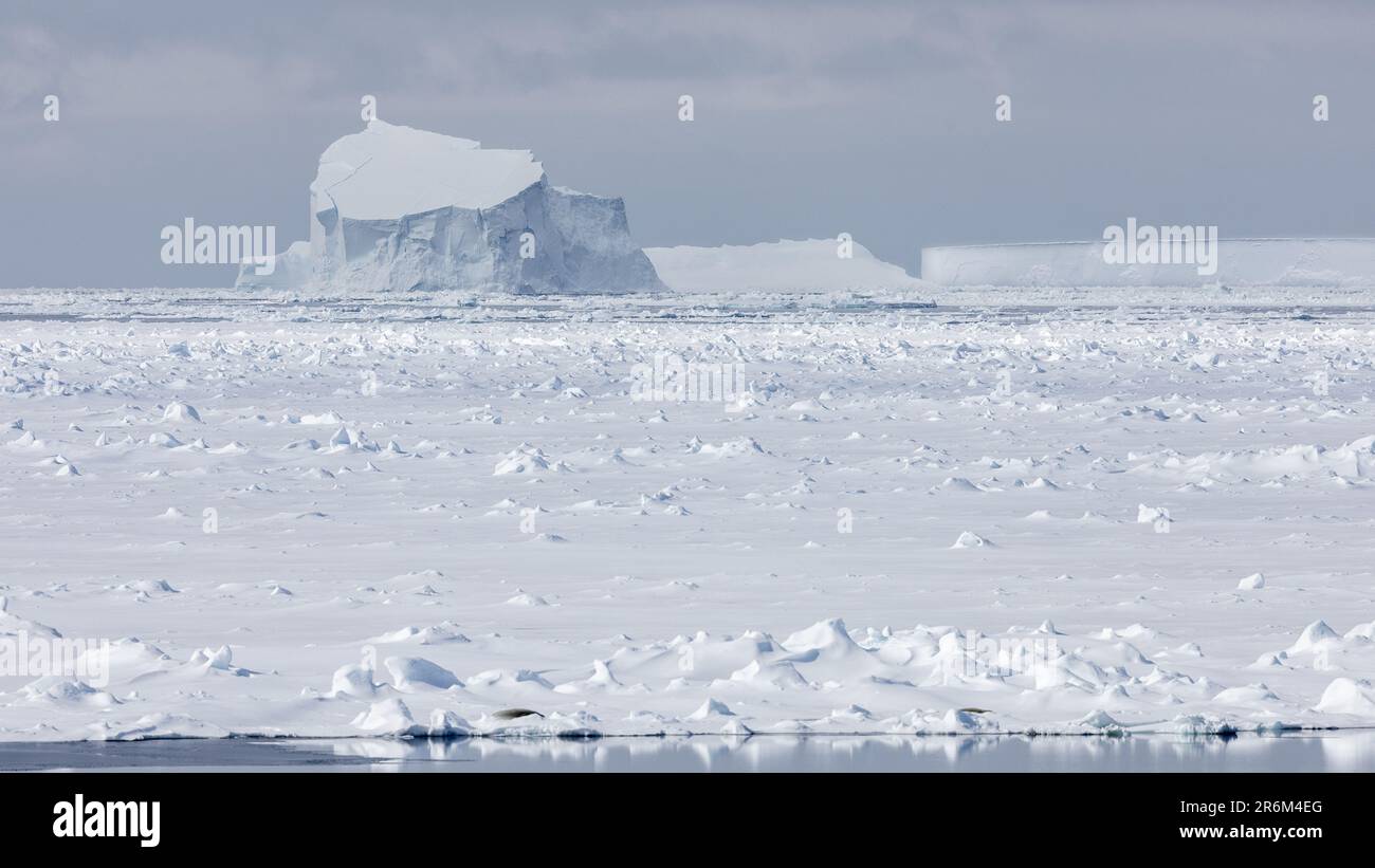Meereis und Eisberge in der Hochlichtsonne, Amundsensee, Antarktis Stockfoto