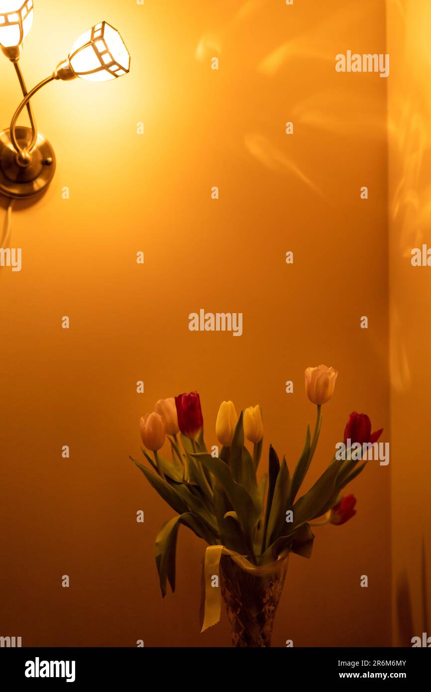 Ein Strauß Tulpen auf dem Nachttisch im Licht der Wandleuchter im Schlafzimmer Stockfoto