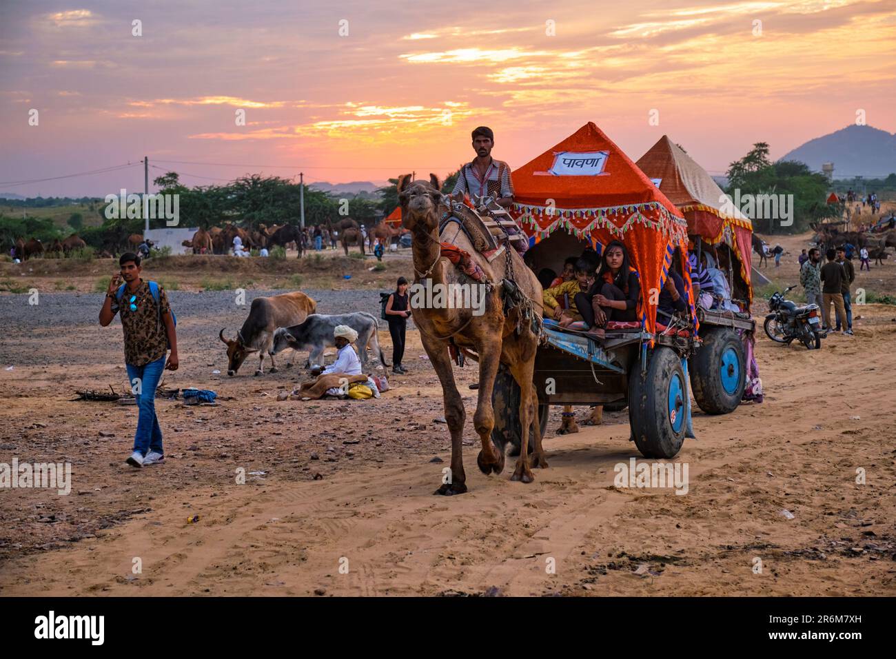 Kameltaxi für Touristen auf der Kamelmesse Pushkar (Pushkar Mela) Stockfoto