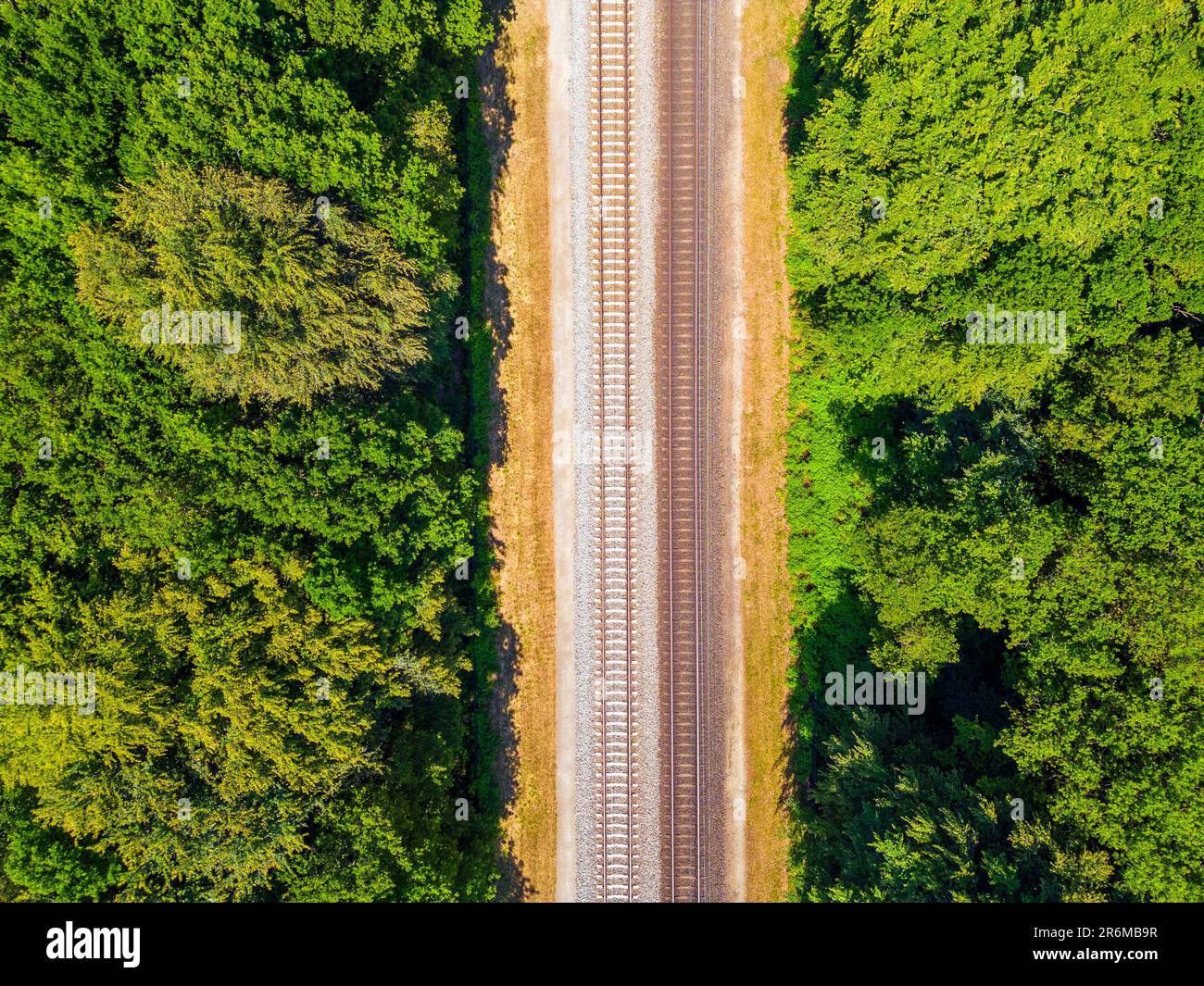 Luftaufnahme auf Eisenbahnschienen im Wald Stockfoto