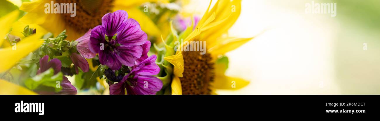 Banner 4x1 mit einem Strauß mit Sonnenblumen, Petunien und Wiesenblumen Stockfoto