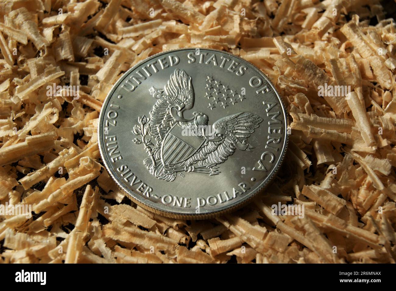 Reine Silbermünze. US-Anlageinvestition Silbermünze 1 Dollar. Stockfoto