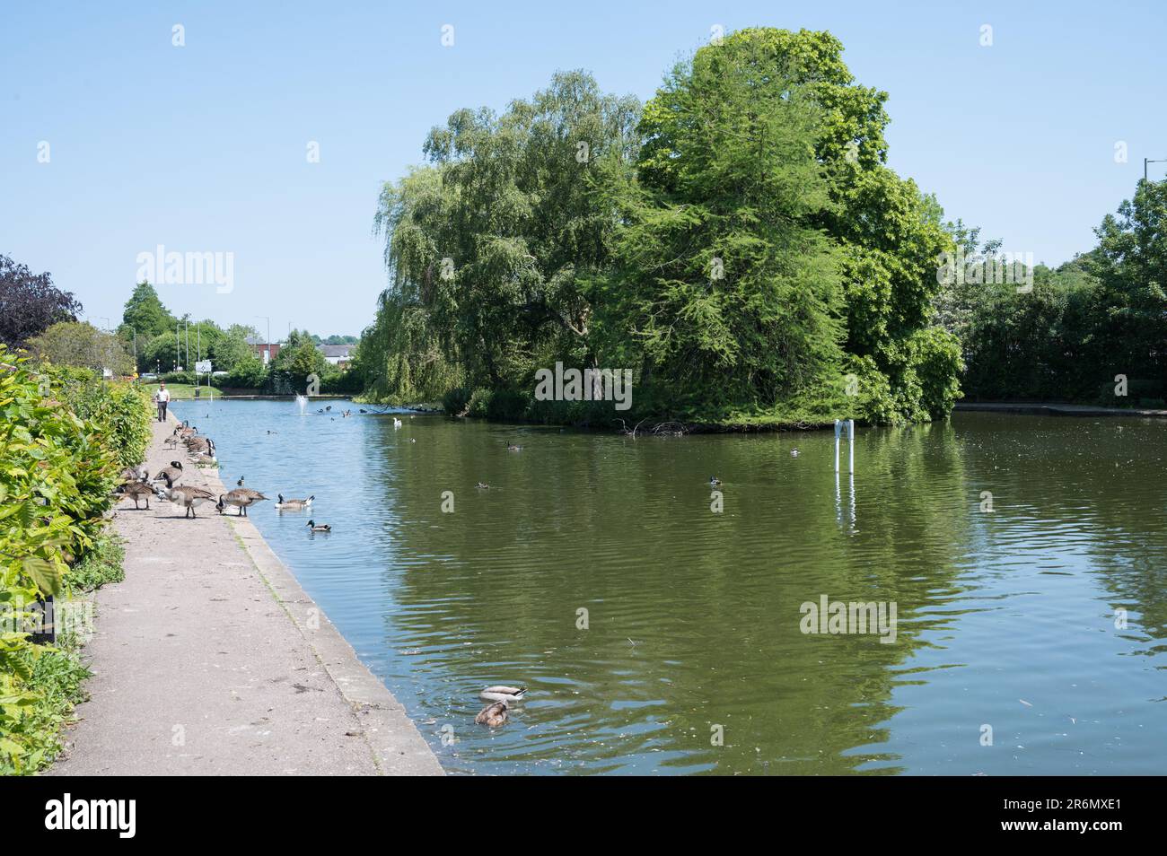 Blick über Skottowes Pond, ein künstlicher Ziersee. Lowndes Park, Chesham, Buckinghamshire, England, Großbritannien Stockfoto