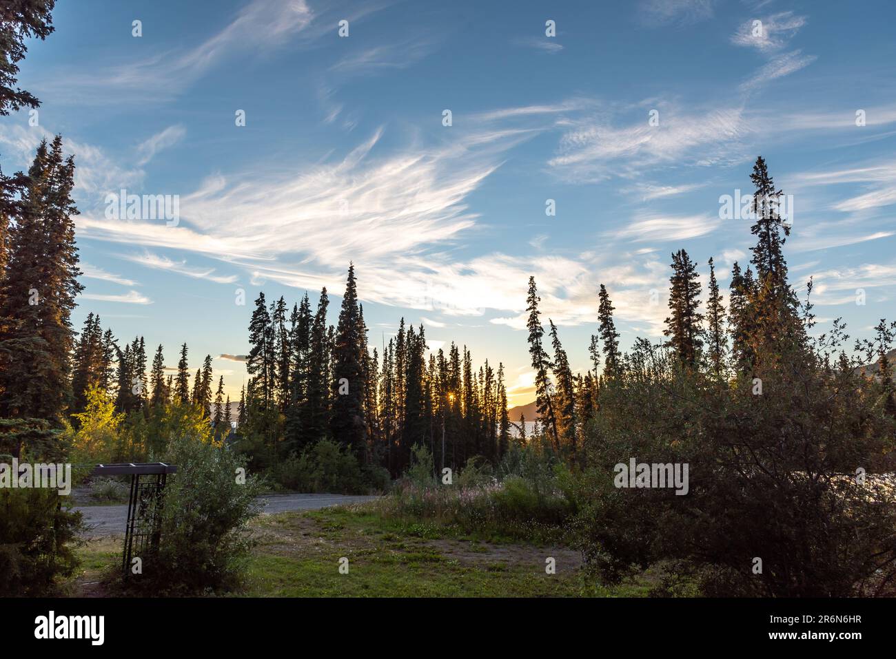 Im Sommer bieten sich im Norden Kanadas einzigartige, wunderschöne Wolkenformationen im Borealwald im Yukon Territory in der arktischen Gegend bei Alaska an. Stockfoto