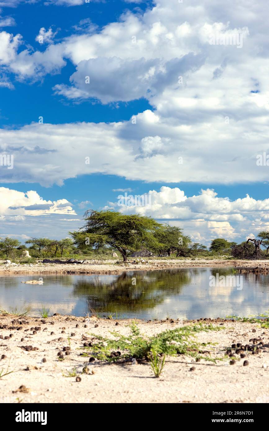 Blick auf das Wasserloch im Onkolo Hide - Onguma Wildreservat, Namibia, Afrika Stockfoto