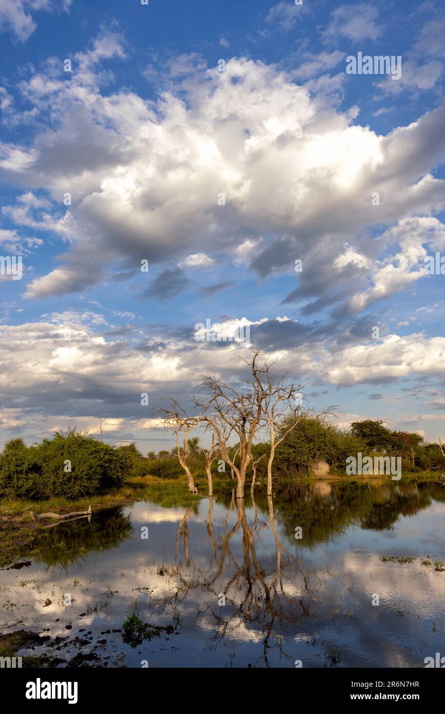 Wasserloch-Landschaft im Onguma Game Reserve, Namibia, Afrika Stockfoto