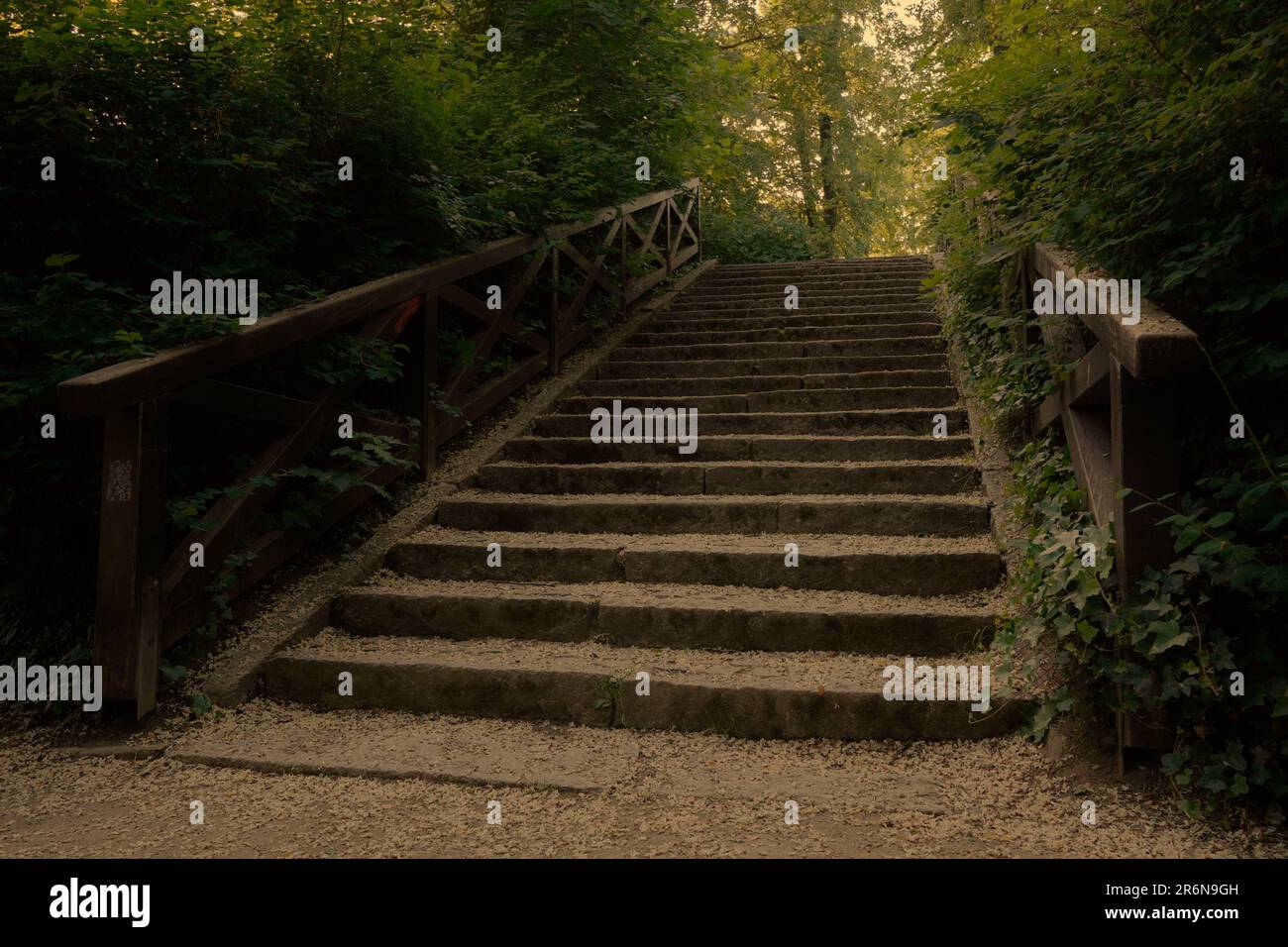 Treppe zum Himmel: Ruhe im Stadtpark Bernau bei Berlin Stockfoto