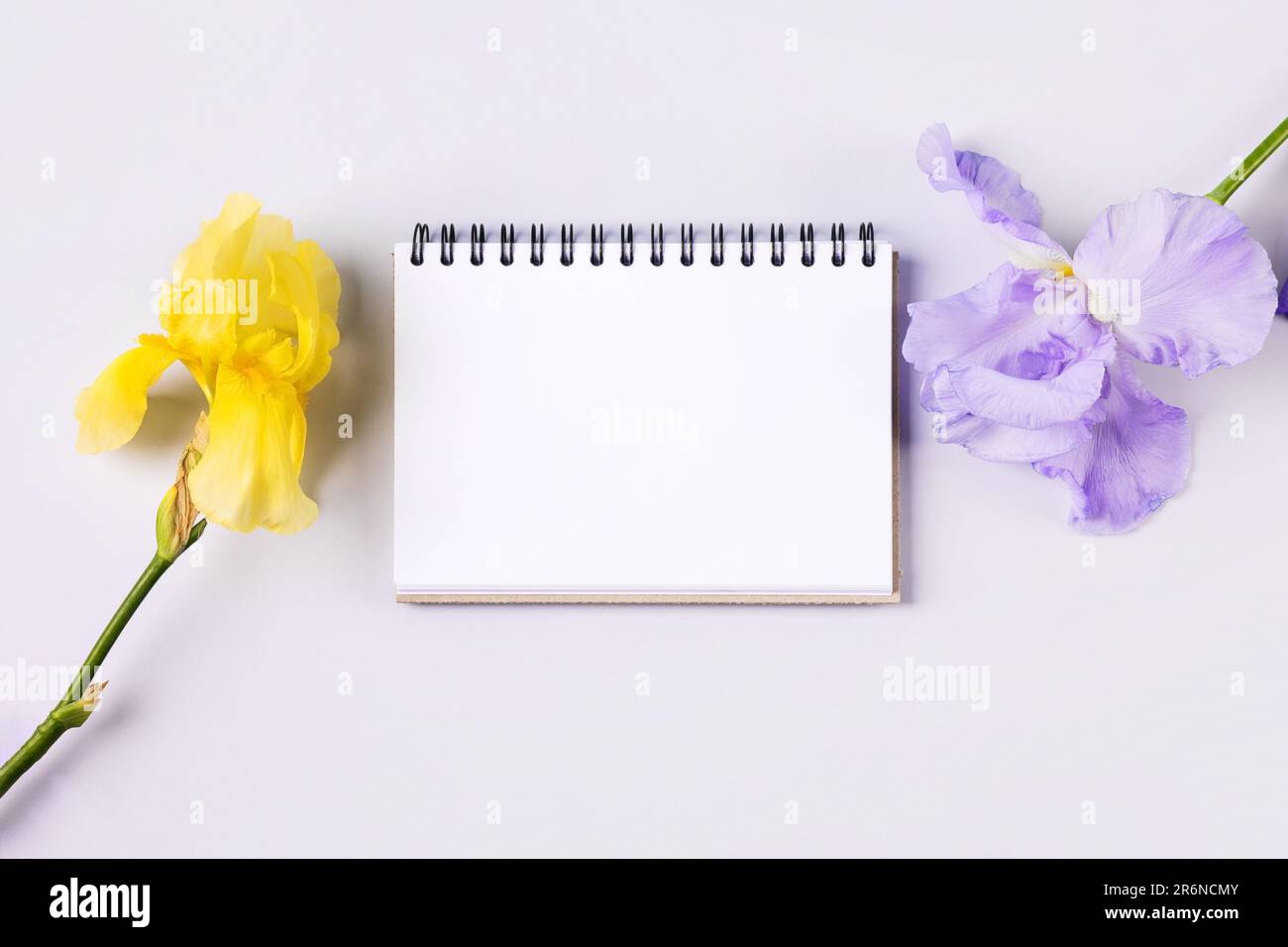 Notizbuch mit sauberer Seite mit lila und gelben Blüten auf orangefarbenem Hintergrund. Flach liegend. Stockfoto