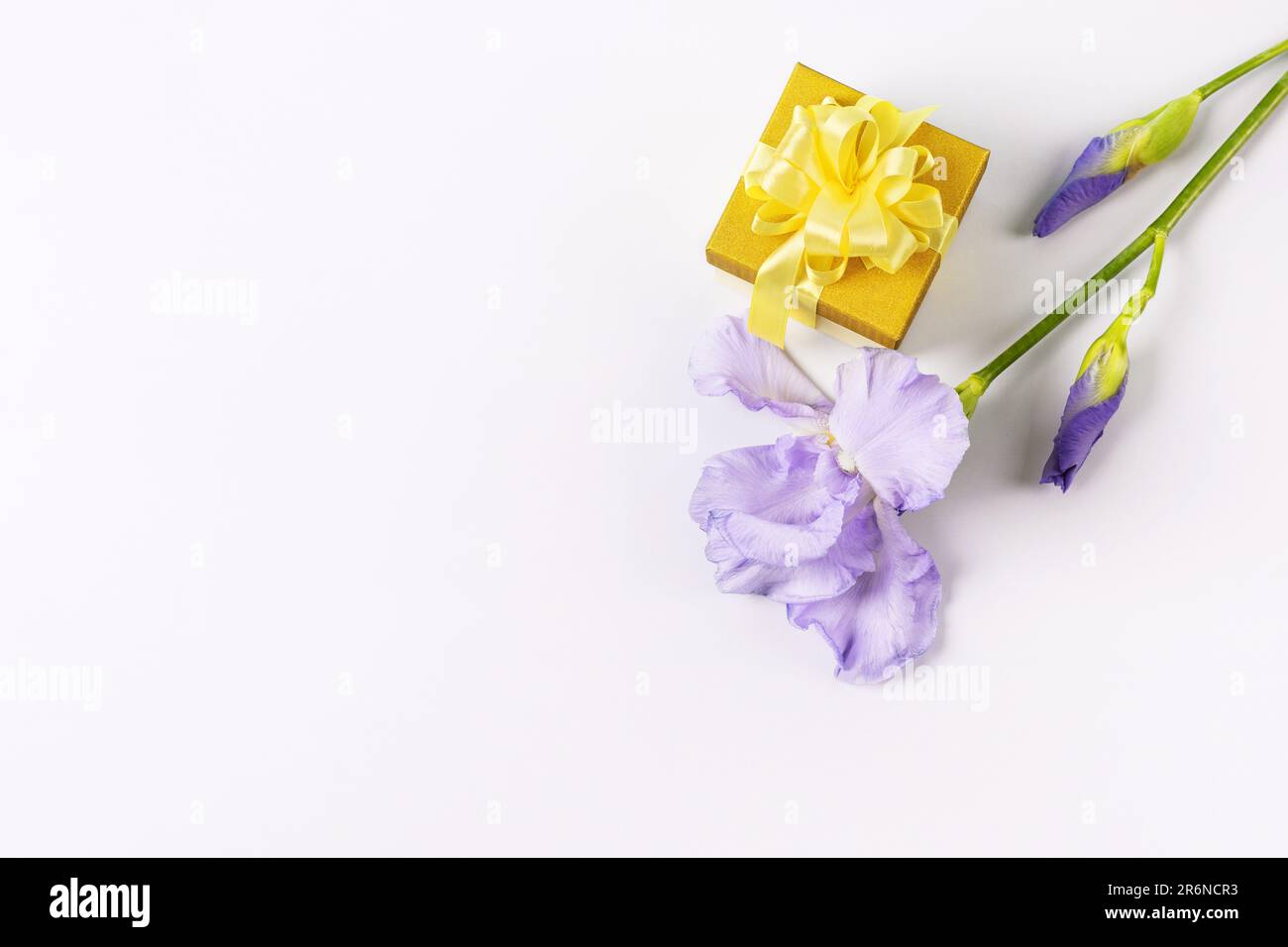 Gelbe Geschenkbox mit Schleife aus Satinband und lila Irisblumen mit Platz für Ihre SMS. Grußkarte für Muttertag, Valentinstag, Geburtstag. Stockfoto