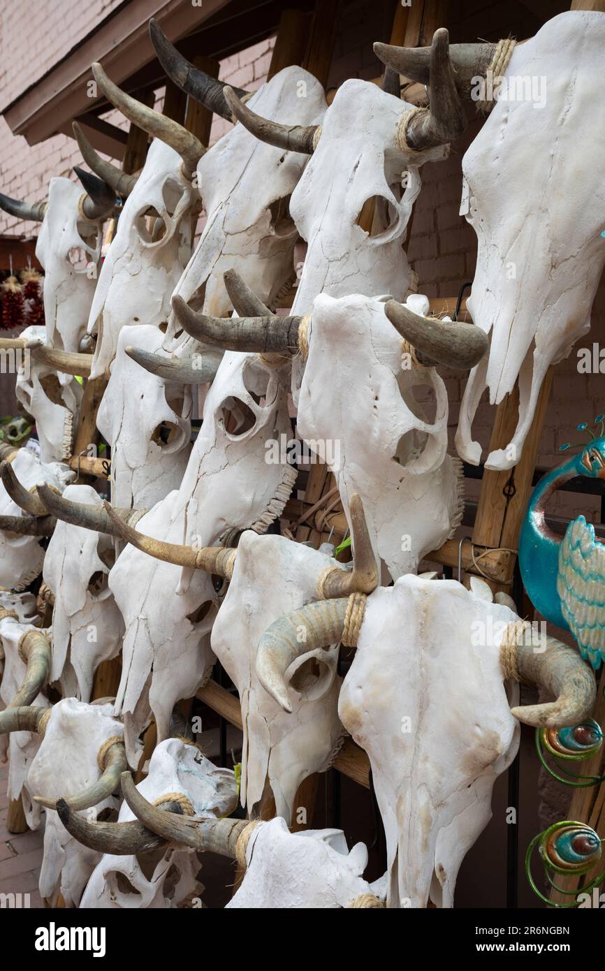 Eine Sammlung von Longhorn-Kuhköpfen, die in der Nähe des plaza in Santa Fe, New Mexico, verkauft werden. Stockfoto