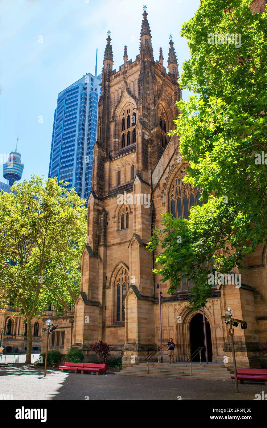 St. Andrew's Cathedral, Sydney, New South Wales, Australien Stockfoto