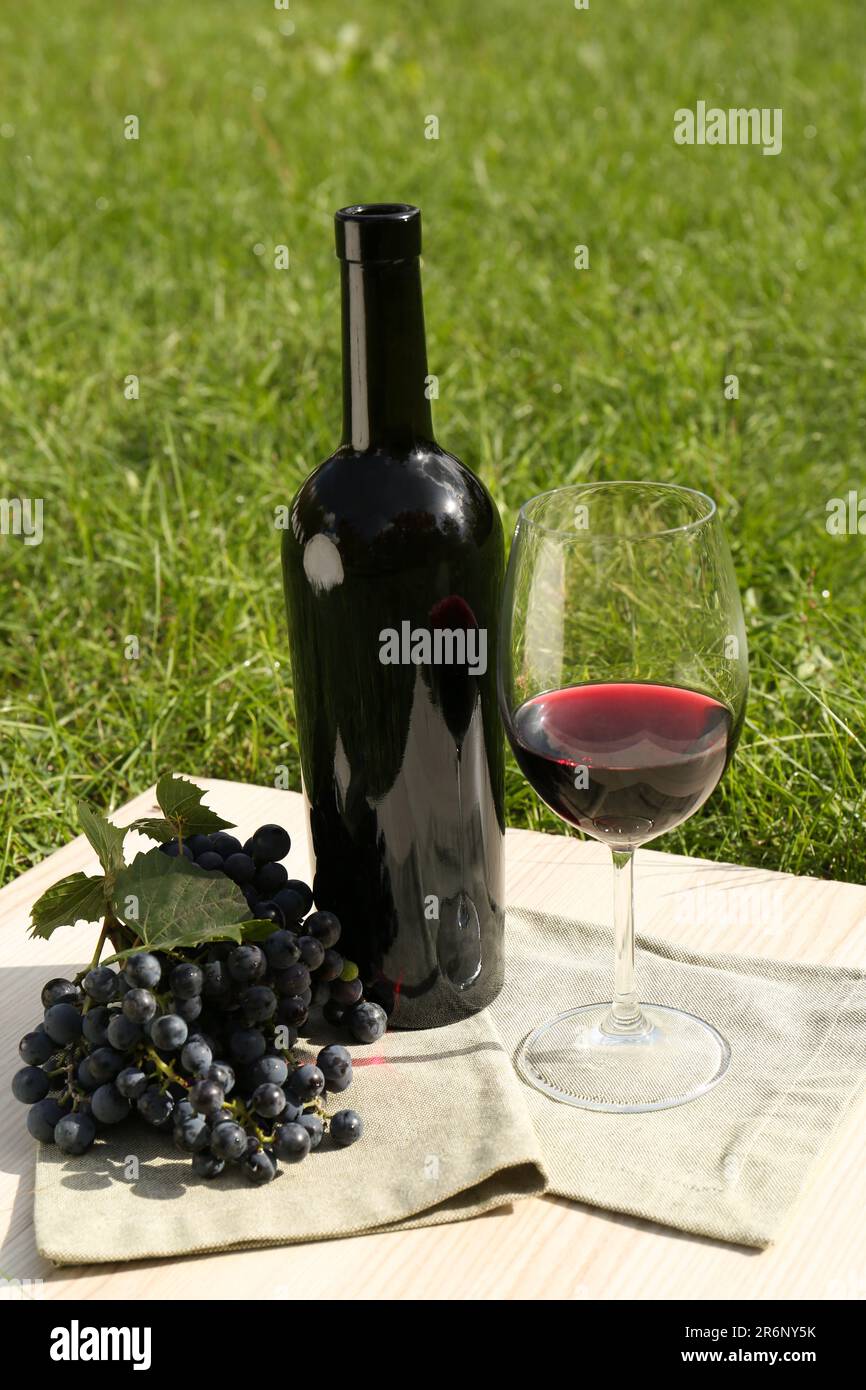 Rotwein und köstliche Trauben werden auf grünem Gras im Freien serviert Stockfoto
