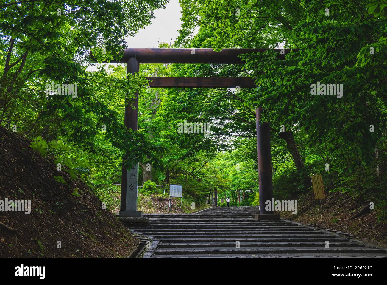 Torii des Hokkaido-Schreins in Sapporo, Japan Stockfoto