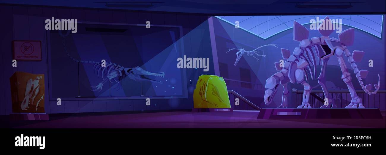 Nacht-Museumsraum mit Fossil-Dinosaurier-Skelett-Cartoon-Vektor-Hintergrund. Jurassic Paleontology zeigt das Innere der Galerie mit Triceratops und Pterodactyl-Schädel mit Knochen und Mondlicht aus dem Fenster Stock Vektor