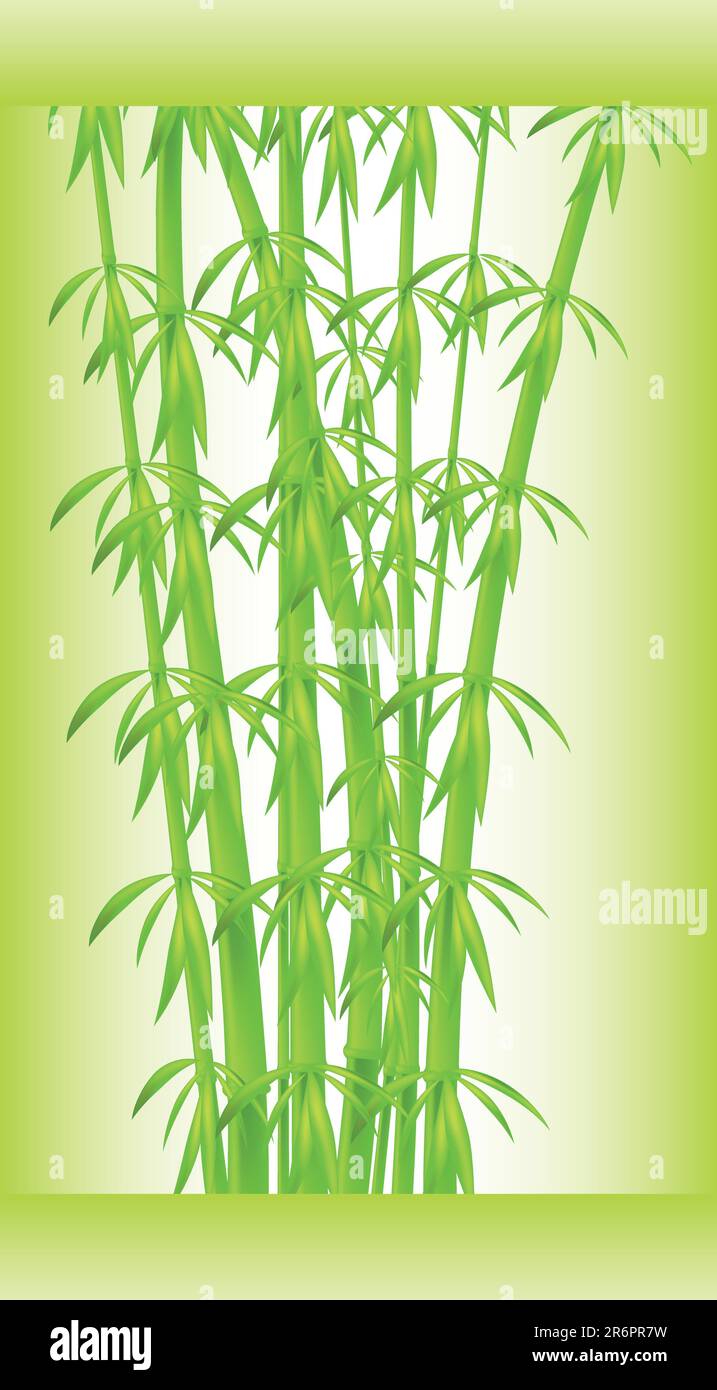 Stiele und Bambusblätter auf grünem Hintergrund Stock Vektor
