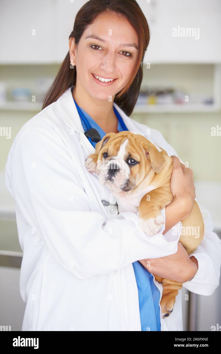 Weibliche Tierärztin, Welpe und Klinik Portrait mit Lächeln, Pflege und Liebe für Gesundheit, Wellness oder Wachstum. Tierärztin, Arzt und Hund mit Umarmung, Glück Stockfoto