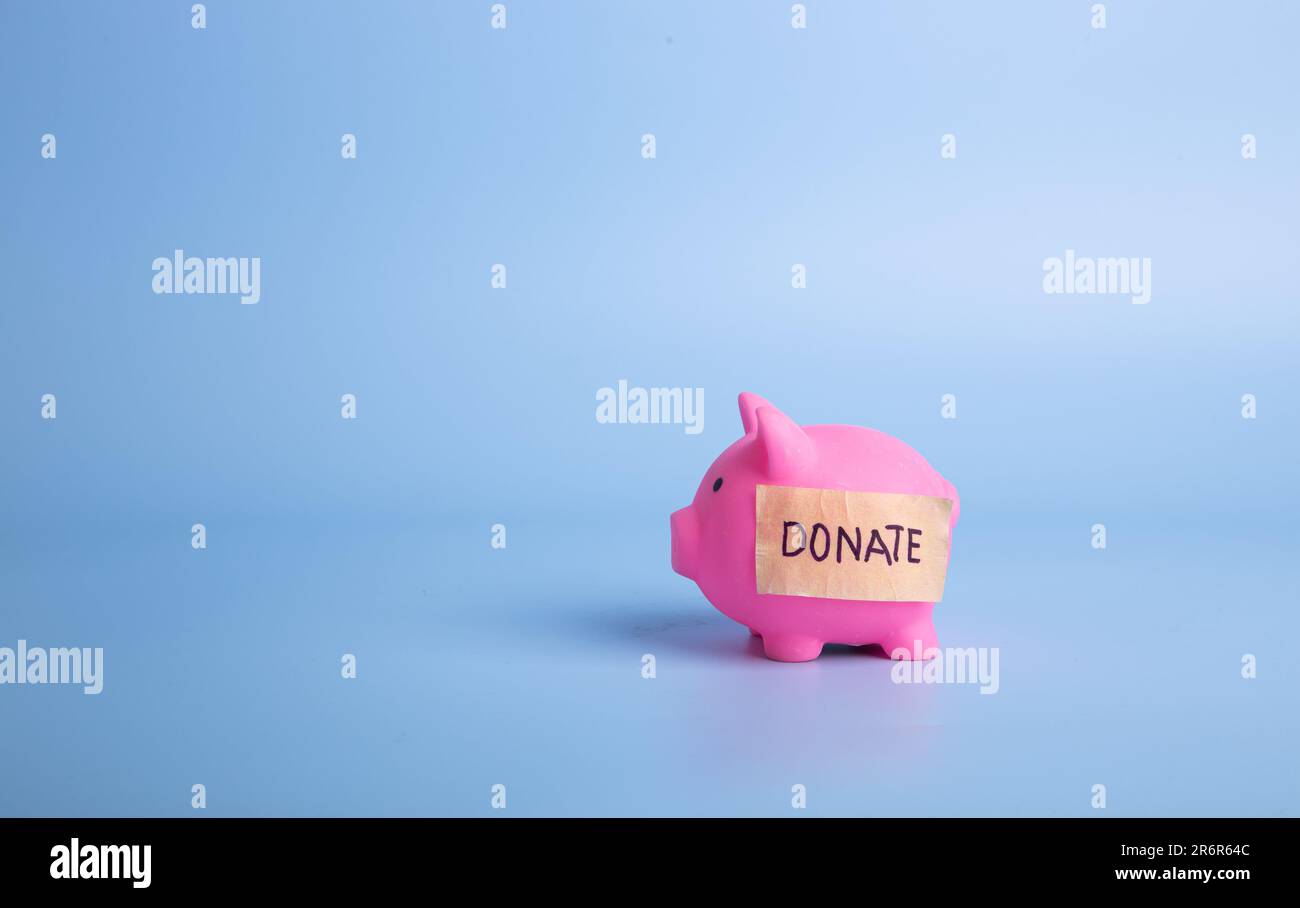 Rosa Sparschwein mit Spendenwort auf blauem Hintergrund. Spende- und Wohltätigkeitskonzept Stockfoto