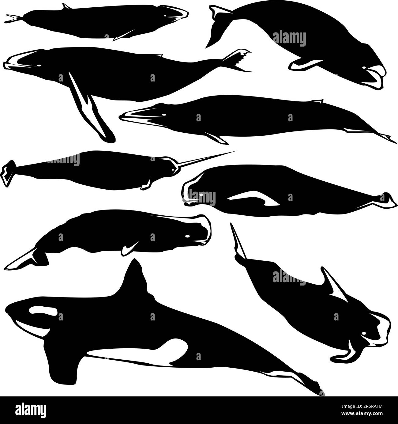 Anmutige Wale in Vektorsilhouette mit stilisierter Illustration Stock Vektor