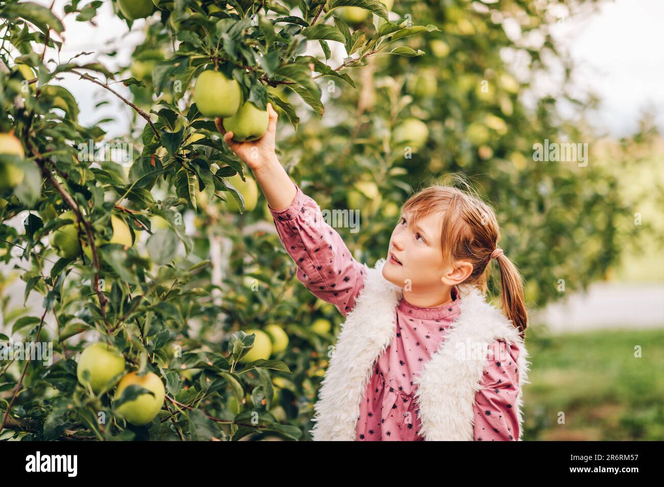 Ein Mädchen, das im Apfelgarten spielt und ein rosa Vintage-Kleid trägt Stockfoto