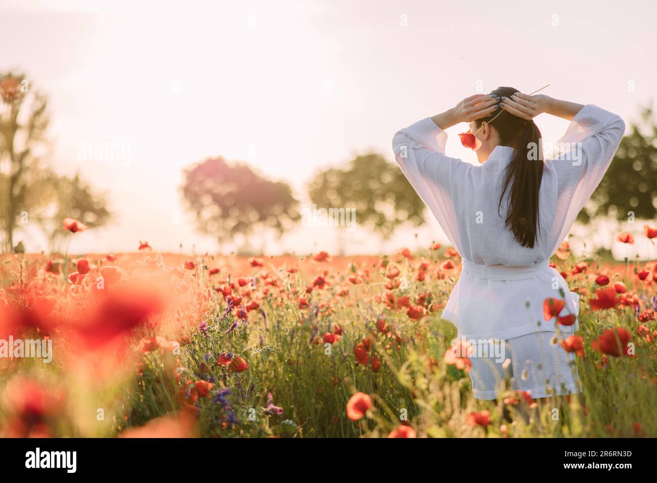 Junge Frau in weißen Kleidern, die bei Sonnenuntergang auf blühenden Mohnwiesen spazieren geht und sich amüsiert. Rückansicht. Bild mit Kopierbereich. Stockfoto
