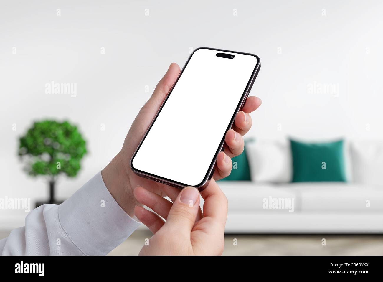 Frauenhände zeigen Smartphone mit isoliertem leerem Bildschirm. Wohnzimmereinrichtung im Hintergrund Stockfoto