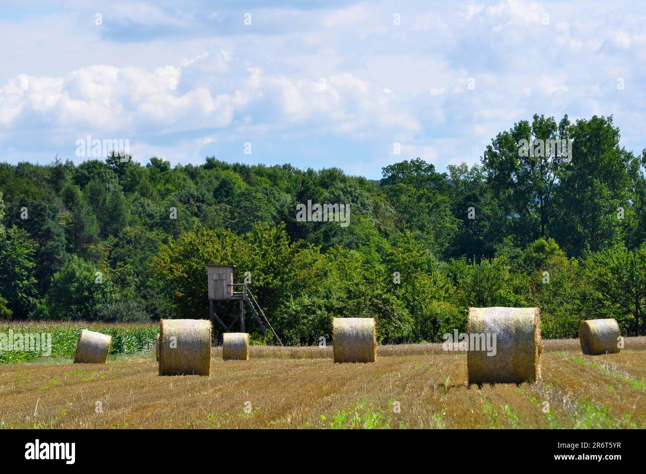 Strohrollen auf dem Feld, nahe Maulbronn, Enzkreis, Baden-Württemberg, Deutschland Stockfoto