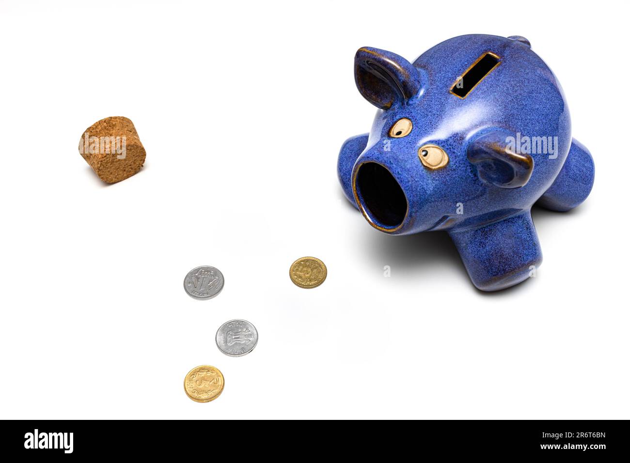 Indische Rupien-Münze isoliert auf weißem Hintergrund. Indische Rupie im Hintergrund der Sparschweinbank. Münze in einem Sparschwein Stockfoto
