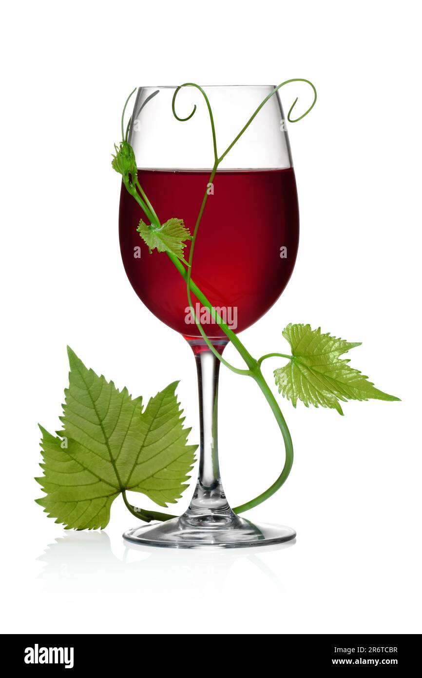 Glas Rotwein und Weinblätter auf weißem Hintergrund und mit sanftem Schatten. Die Datei enthält einen Beschneidungspfad Stockfoto