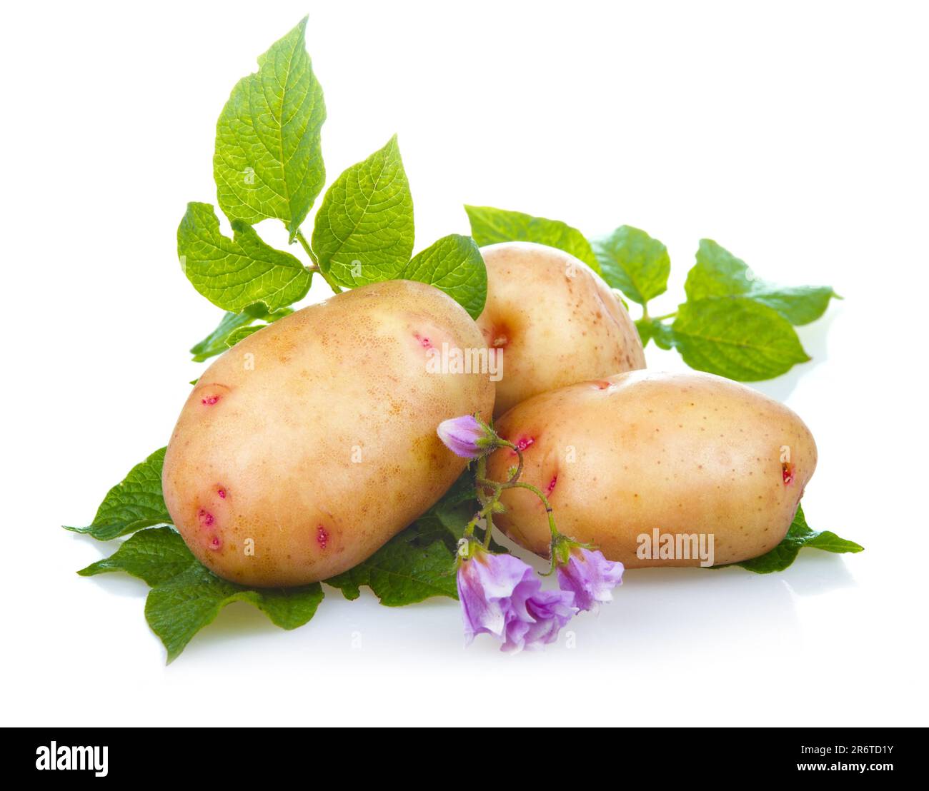 Haufen von Reifen Kartoffeln Gemüse mit grünen Blättern, die isoliert auf weißem Hintergrund Stockfoto